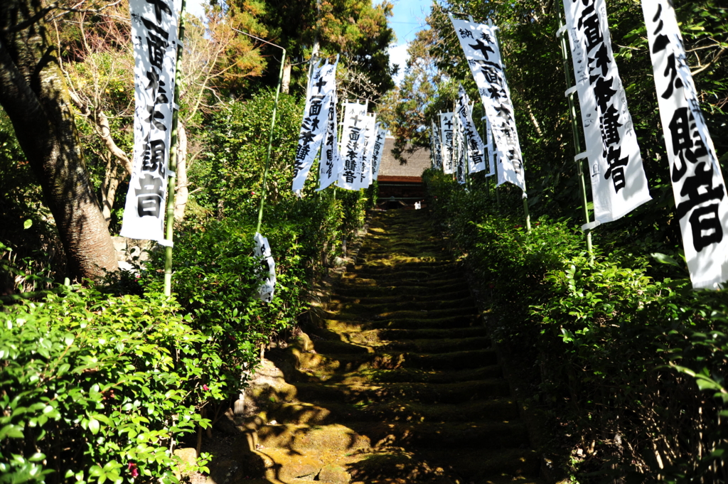 f:id:turumigawa915:20170119221715j:plain