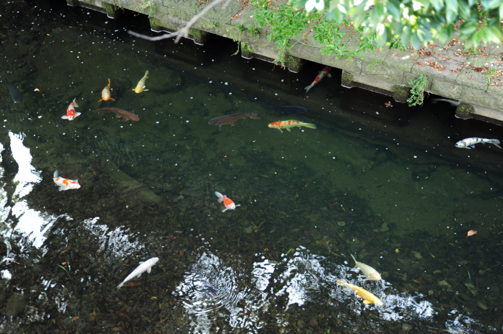 f:id:turumigawa915:20170119221927j:plain