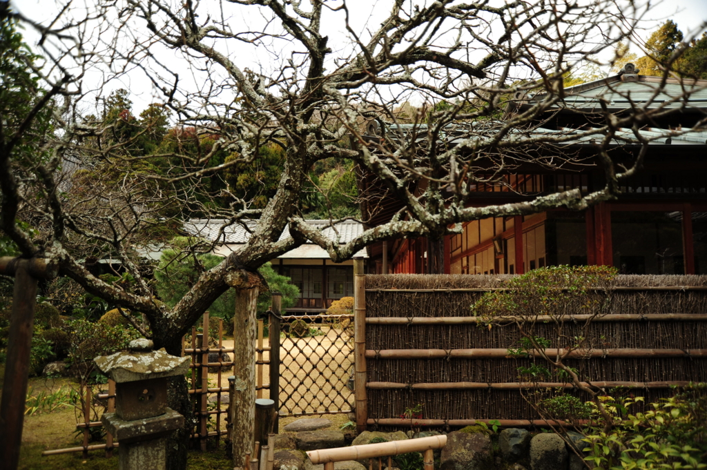 f:id:turumigawa915:20170119222711j:plain