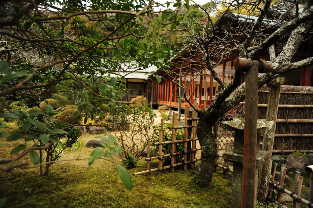 f:id:turumigawa915:20170119222720j:plain