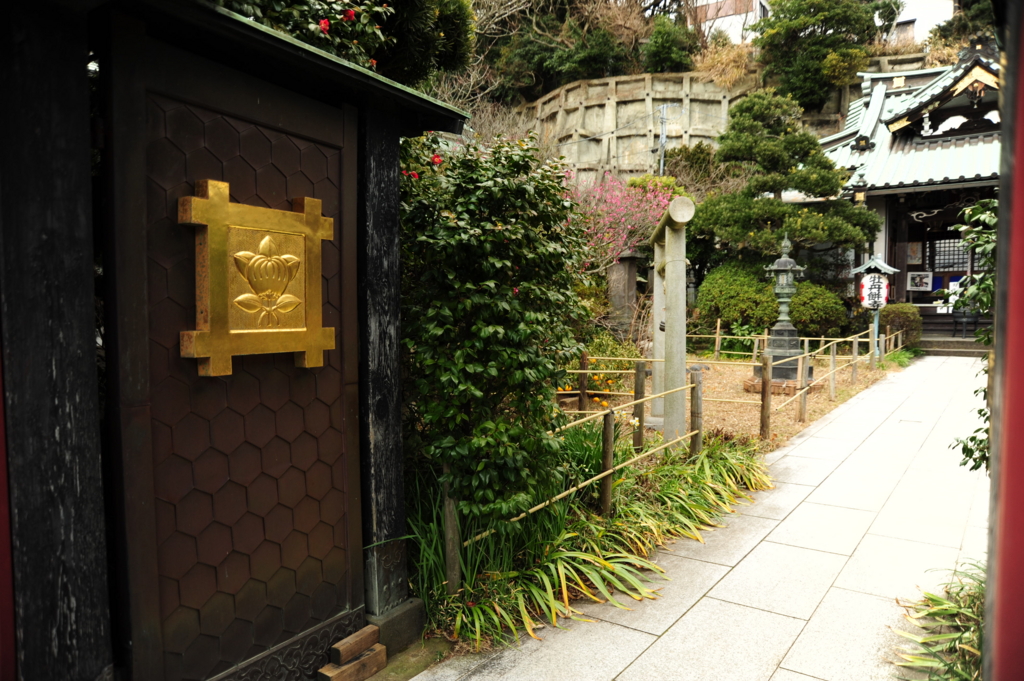 f:id:turumigawa915:20170119224435j:plain