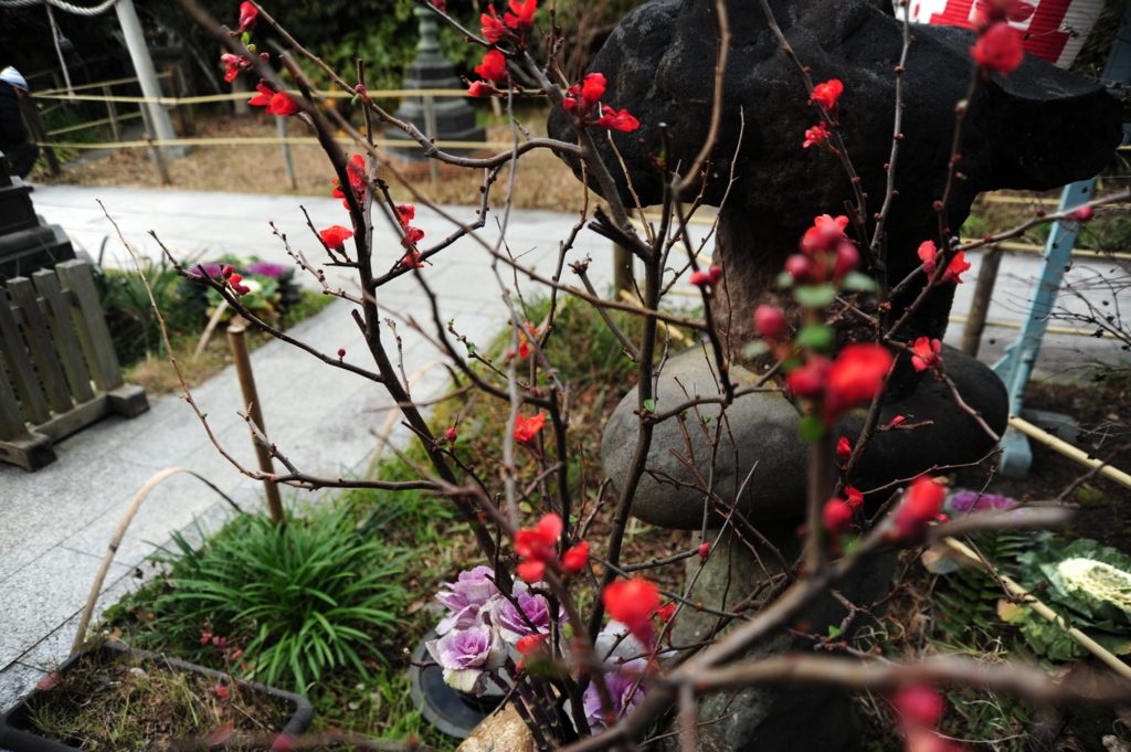 f:id:turumigawa915:20170119224620j:plain