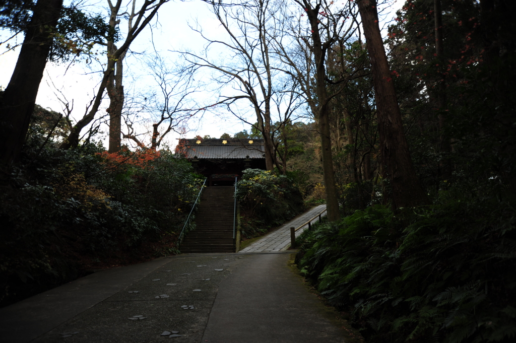 f:id:turumigawa915:20170119224913j:plain