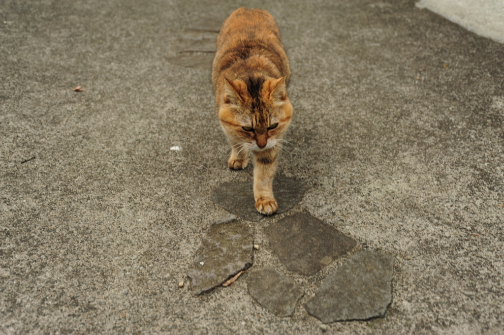 f:id:turumigawa915:20170119225023j:plain