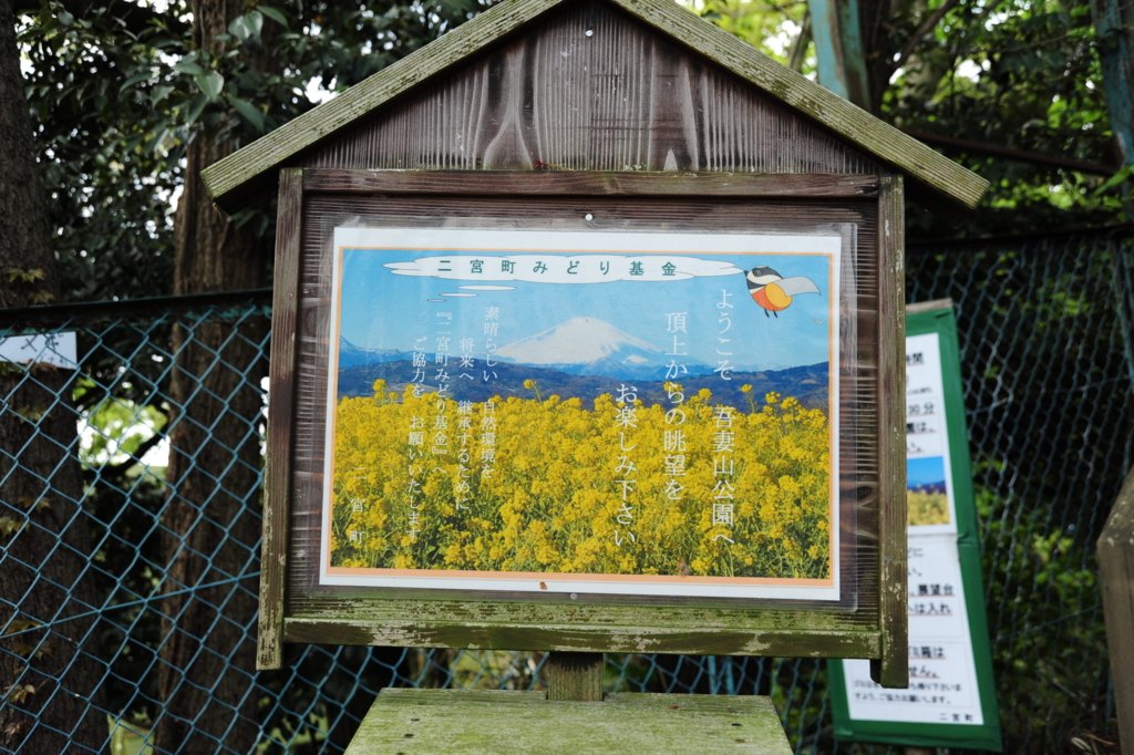 f:id:turumigawa915:20170430161345j:plain