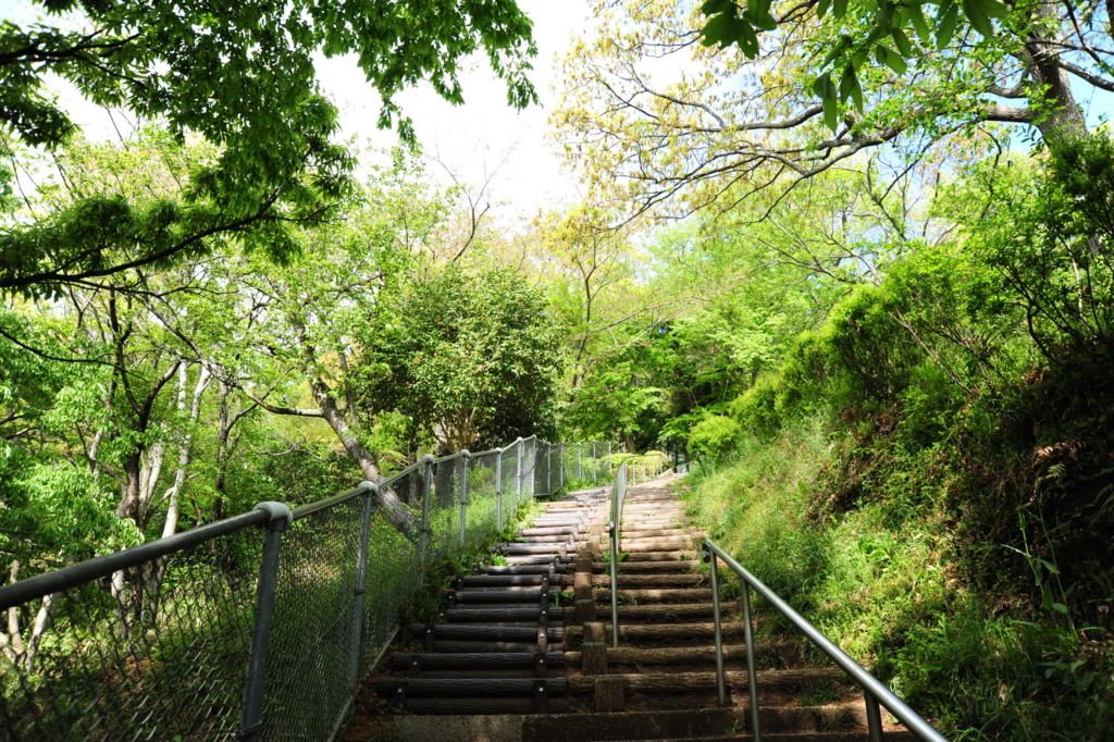 f:id:turumigawa915:20170430161446j:plain