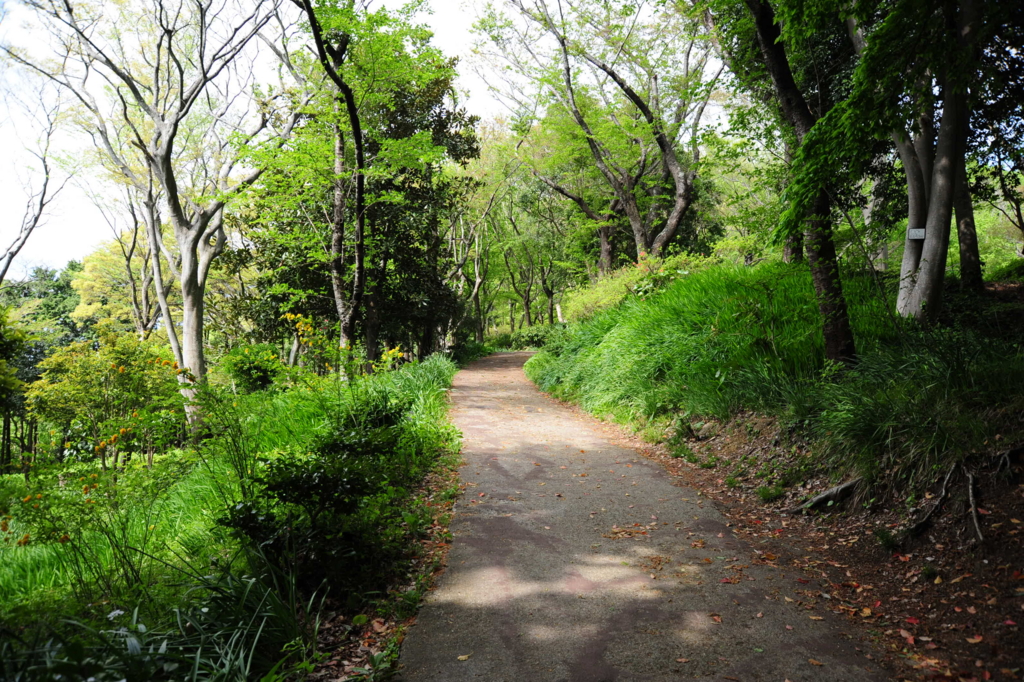 f:id:turumigawa915:20170430161541j:plain