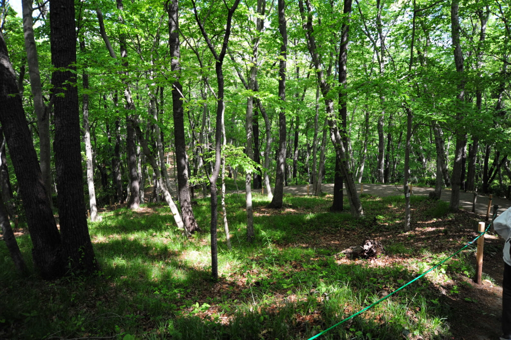 f:id:turumigawa915:20170430162034j:plain