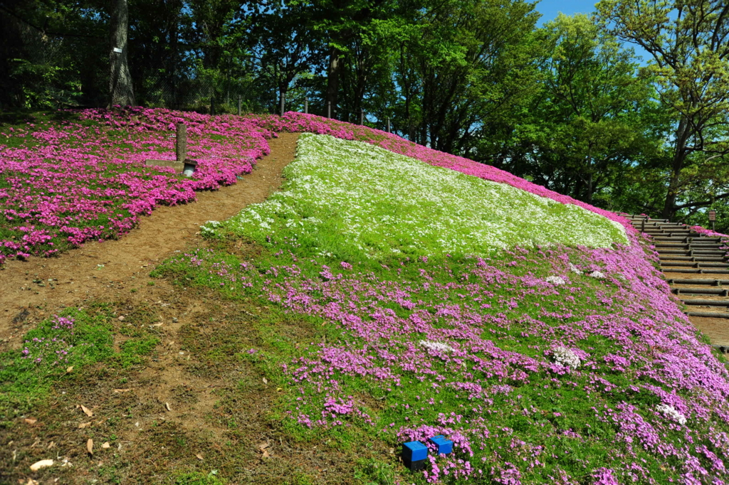 f:id:turumigawa915:20170430162135j:plain