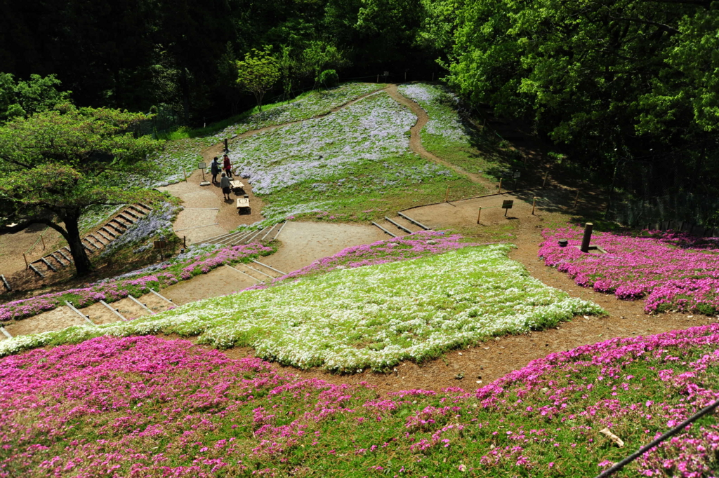 f:id:turumigawa915:20170430162638j:plain