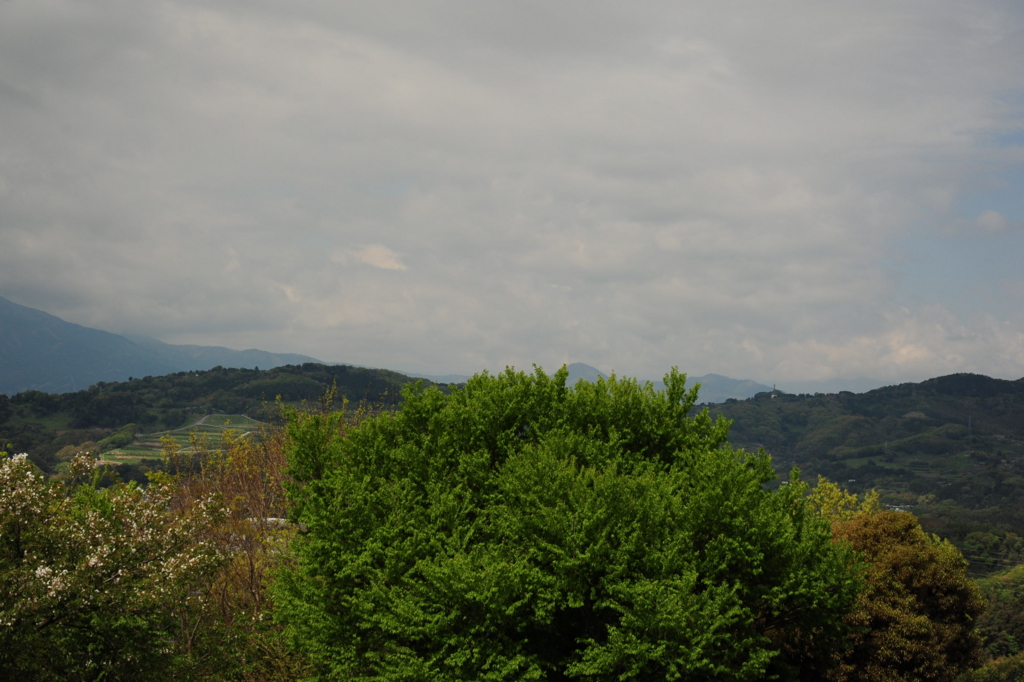 f:id:turumigawa915:20170430190337j:plain