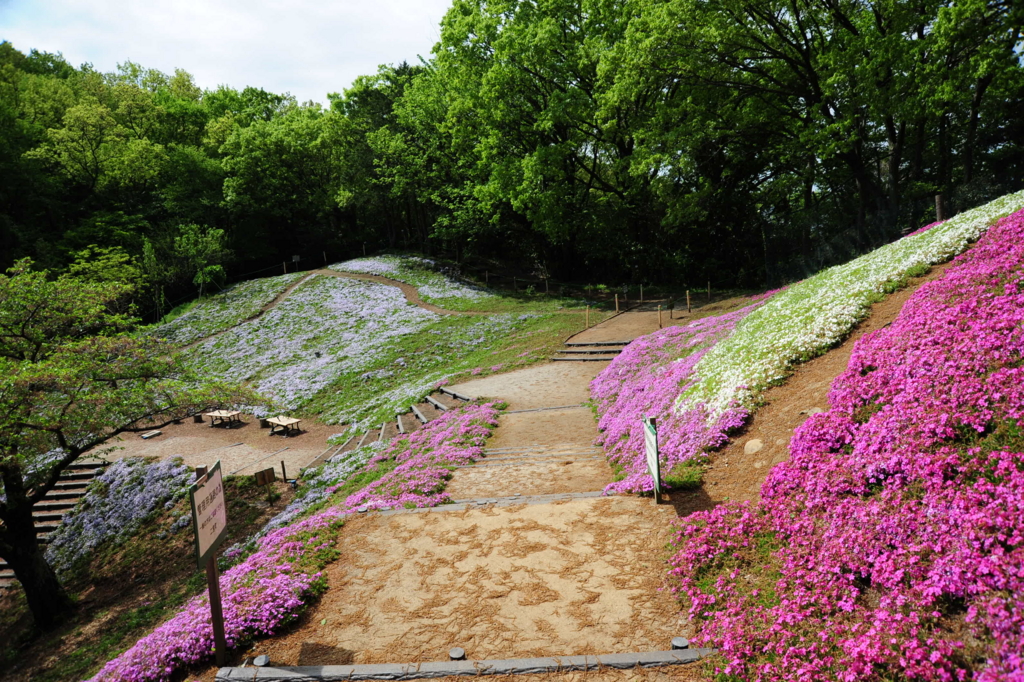 f:id:turumigawa915:20170430190733j:plain