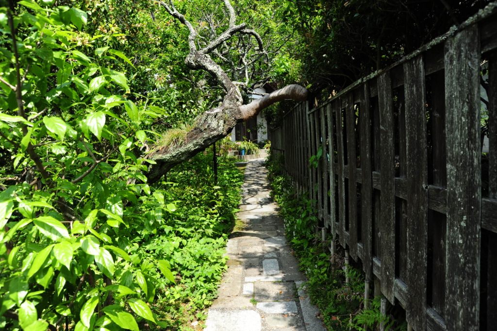 f:id:turumigawa915:20170507143452j:plain