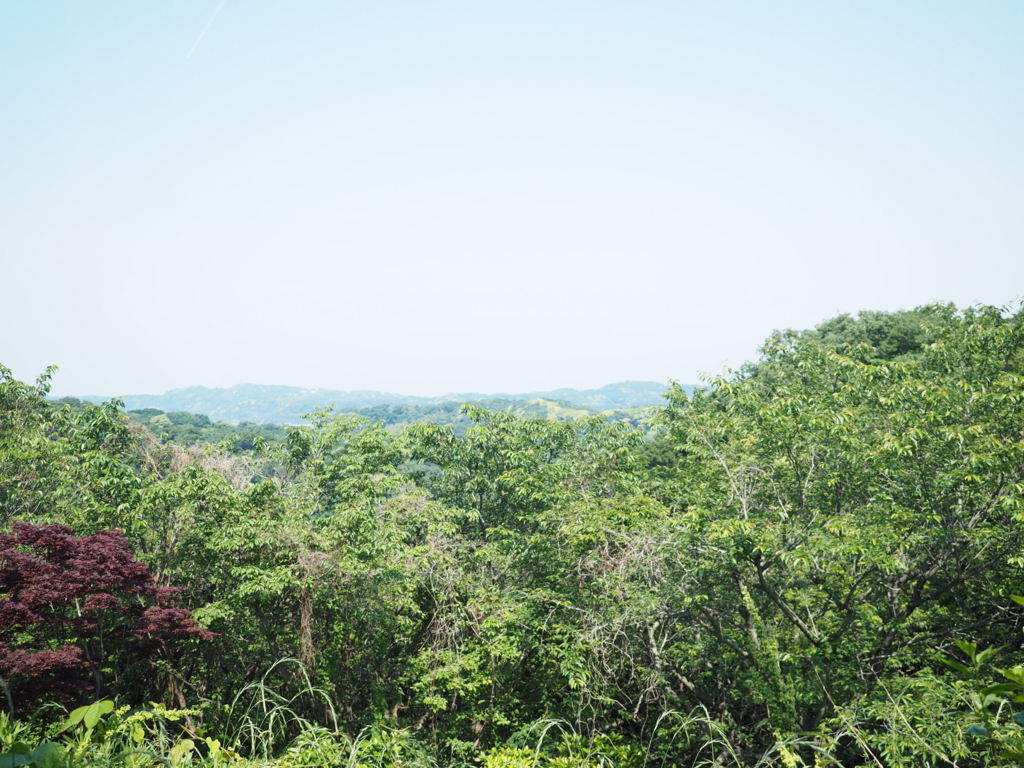 f:id:turumigawa915:20170521152604j:plain