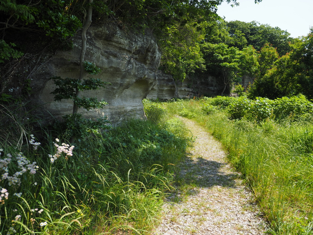 f:id:turumigawa915:20170521155931j:plain