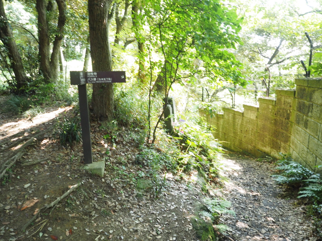 f:id:turumigawa915:20170521160342j:plain