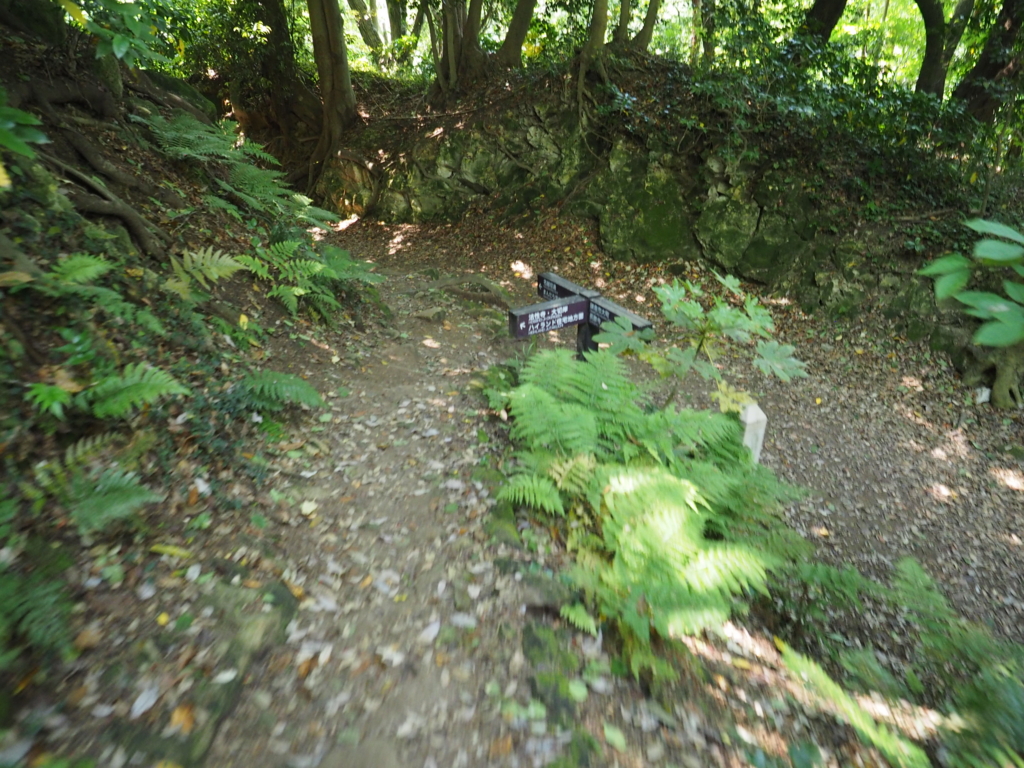 f:id:turumigawa915:20170521160455j:plain