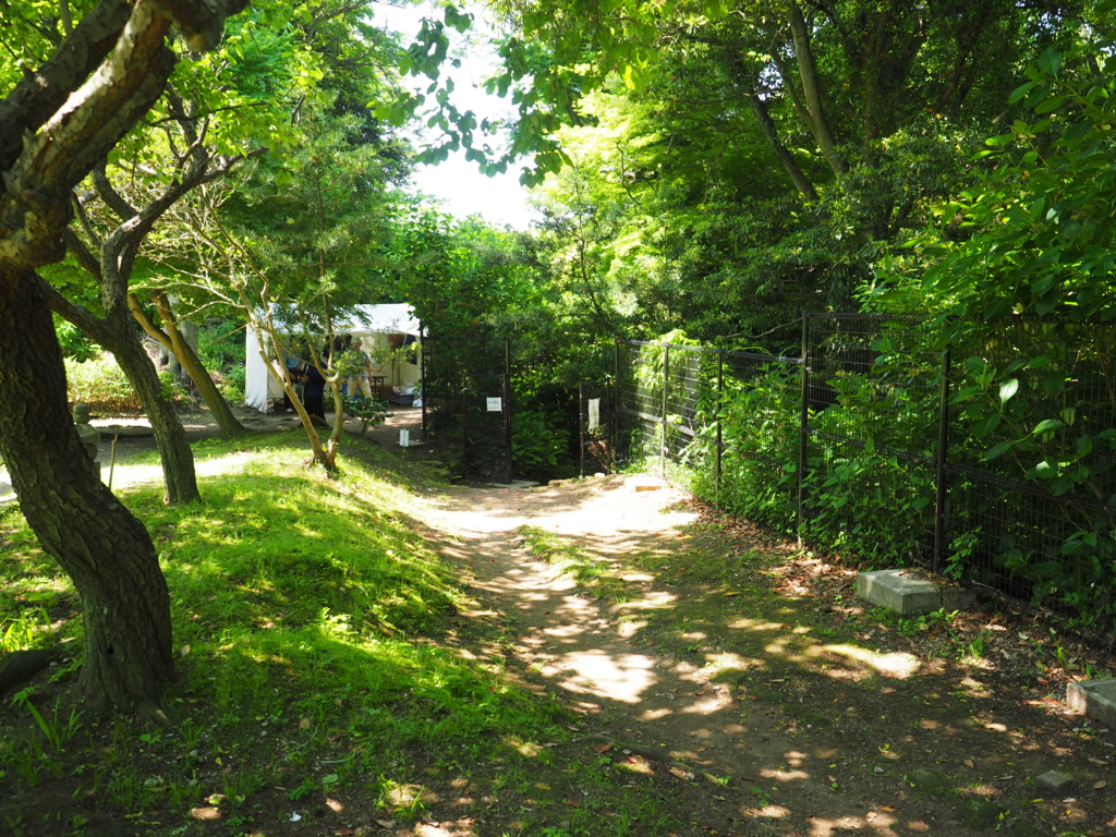 f:id:turumigawa915:20170521190239j:plain