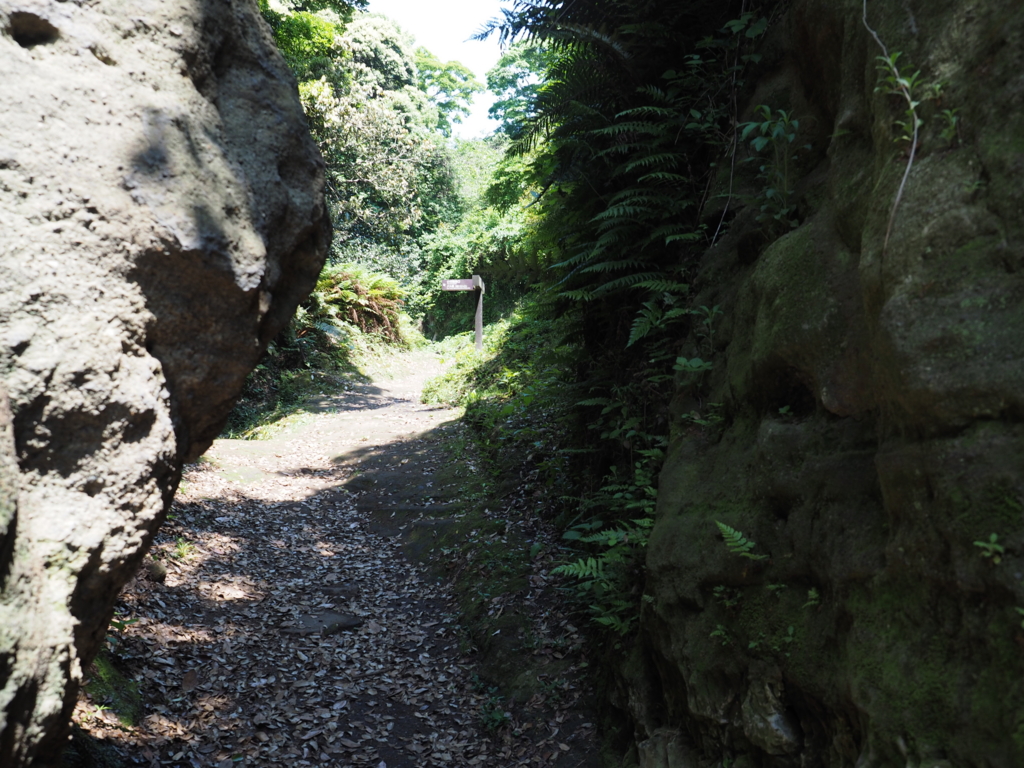 f:id:turumigawa915:20170521190434j:plain