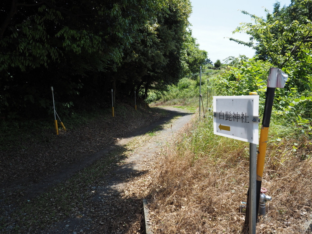 f:id:turumigawa915:20170603201033j:plain