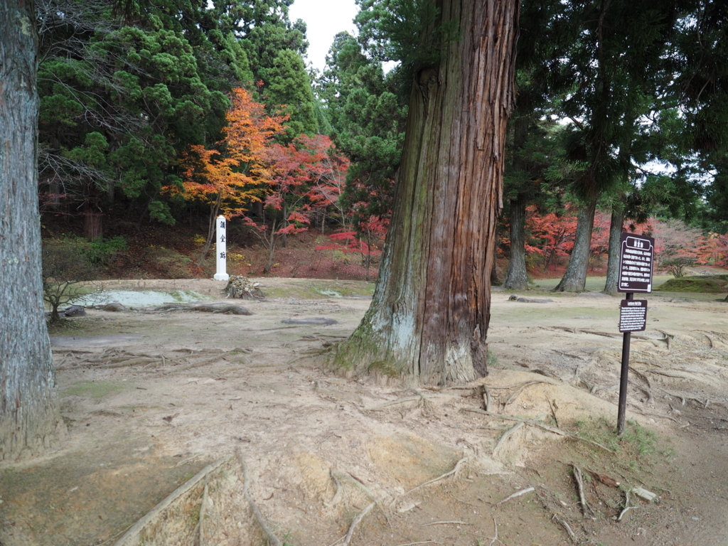 f:id:turumigawa915:20171111185900j:plain