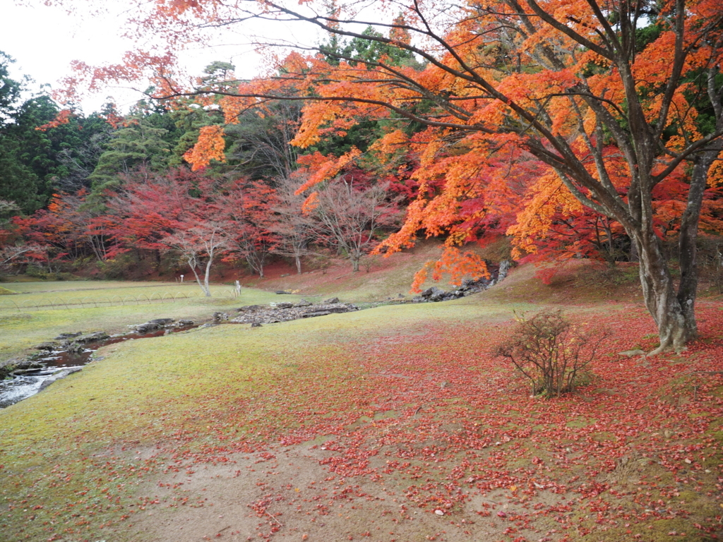 f:id:turumigawa915:20171111190322j:plain