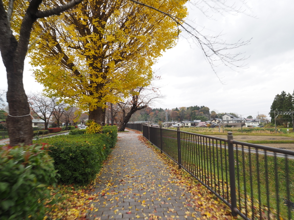 f:id:turumigawa915:20171112004208j:plain