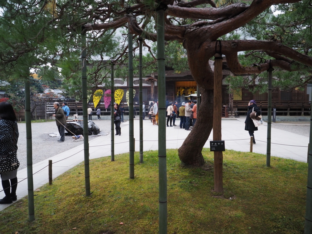 f:id:turumigawa915:20171114000433j:plain