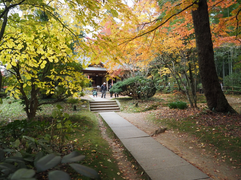 f:id:turumigawa915:20171114231136j:plain