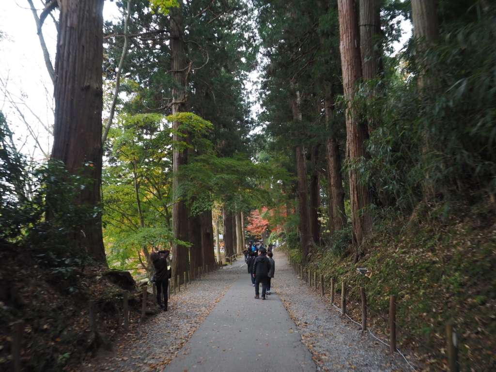 f:id:turumigawa915:20171114235017j:plain