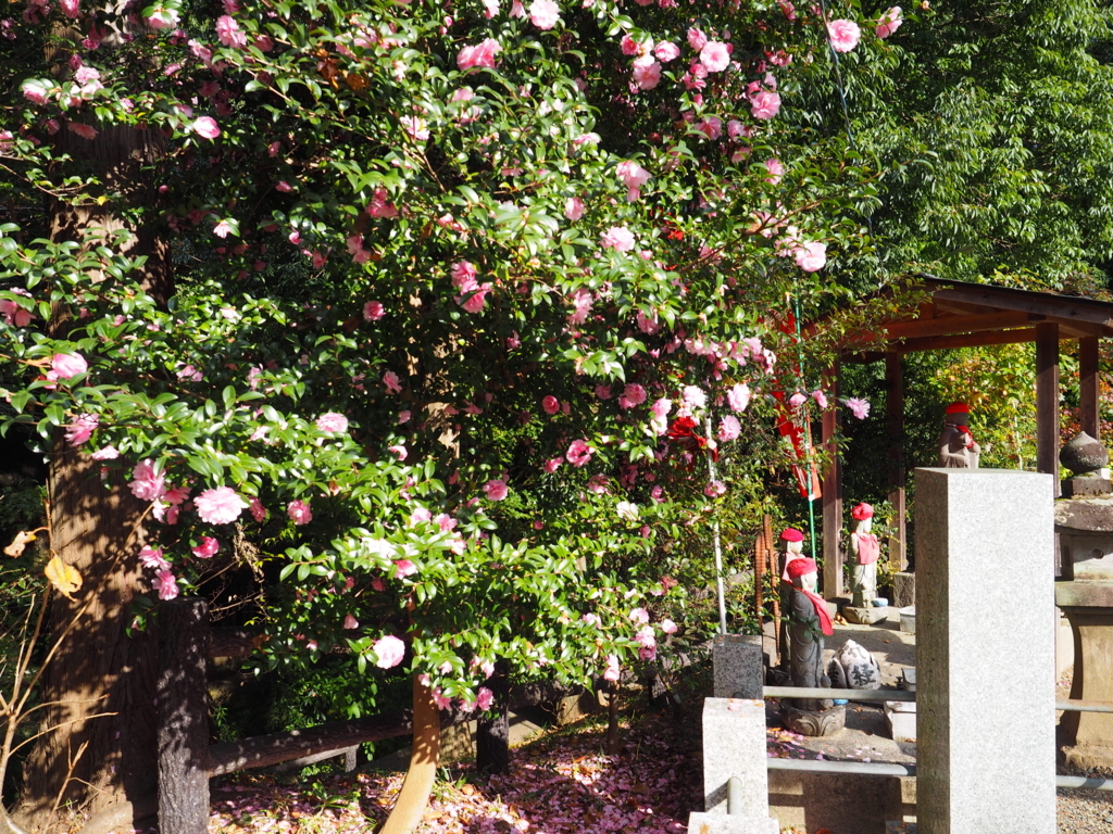 f:id:turumigawa915:20171119220121j:plain