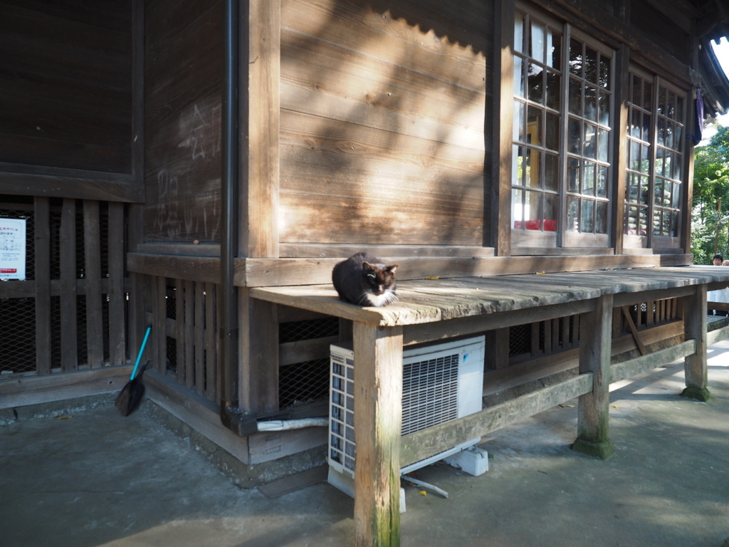 f:id:turumigawa915:20171119223123j:plain