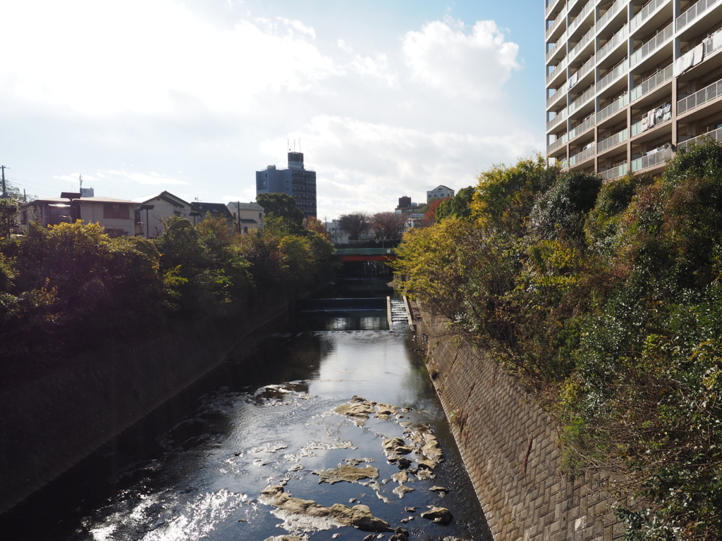 f:id:turumigawa915:20171119224629j:plain