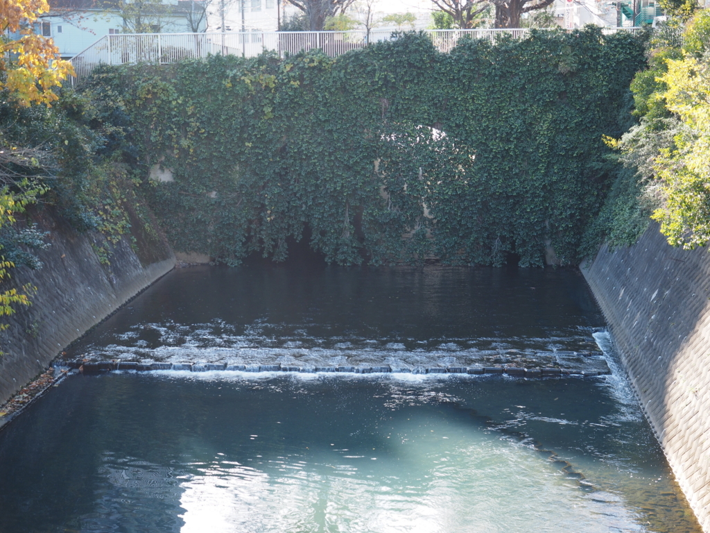 f:id:turumigawa915:20171119224853j:plain