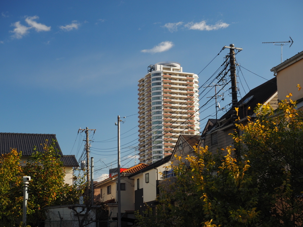 f:id:turumigawa915:20171119224910j:plain