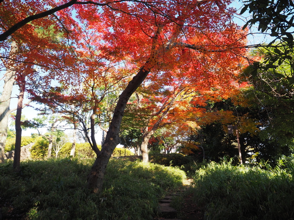 f:id:turumigawa915:20171203193435j:plain