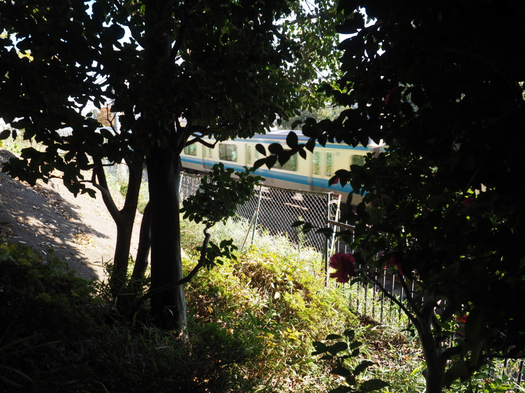 f:id:turumigawa915:20171203193519j:plain