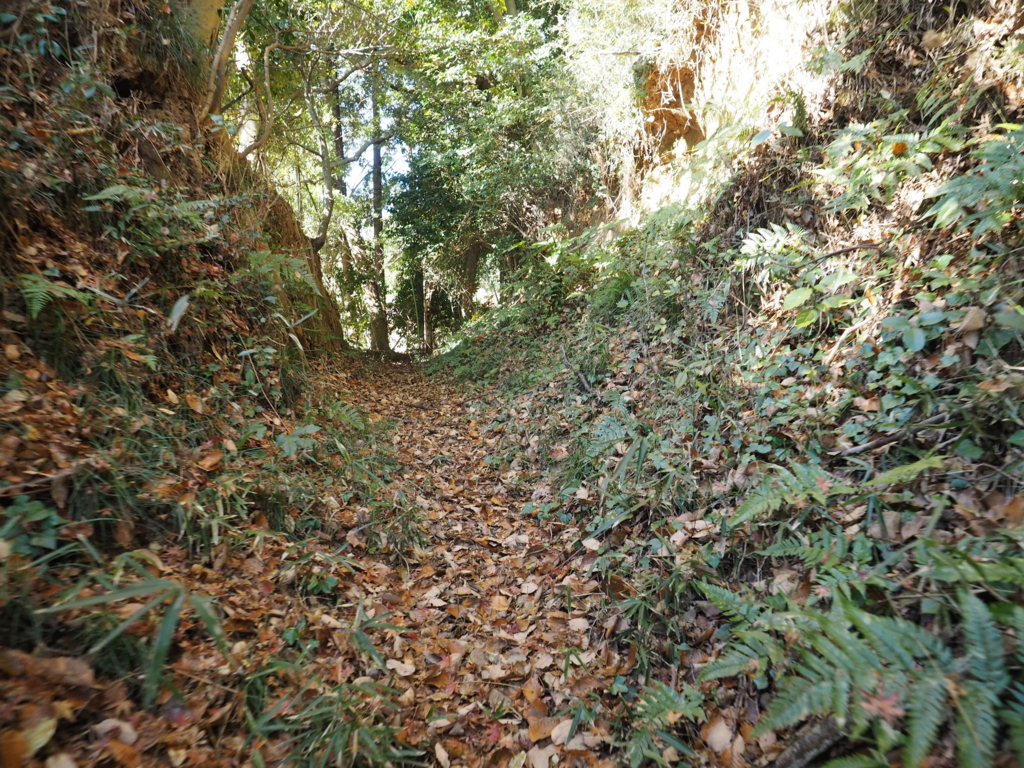 f:id:turumigawa915:20171210145039j:plain