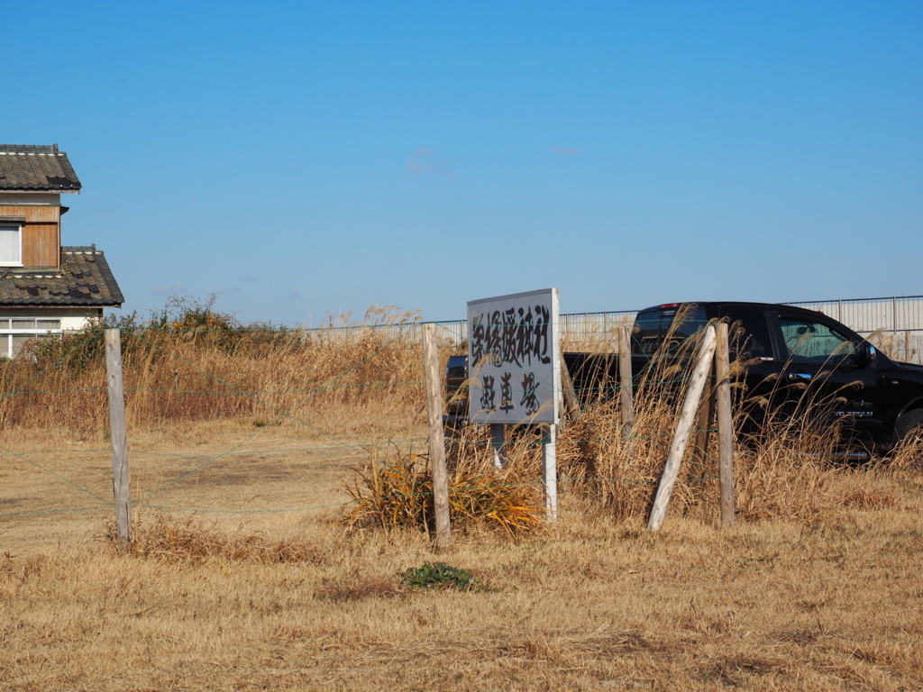 f:id:turumigawa915:20171224195920j:plain