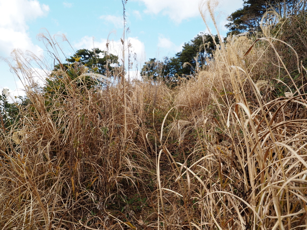 f:id:turumigawa915:20171231201239j:plain