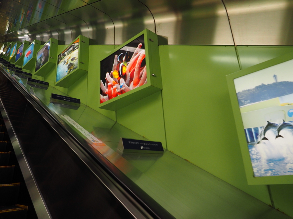 f:id:turumigawa915:20180108142122j:plain