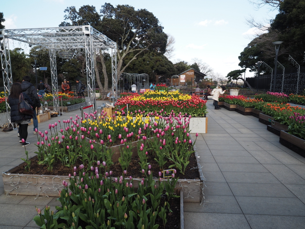 f:id:turumigawa915:20180108143855j:plain