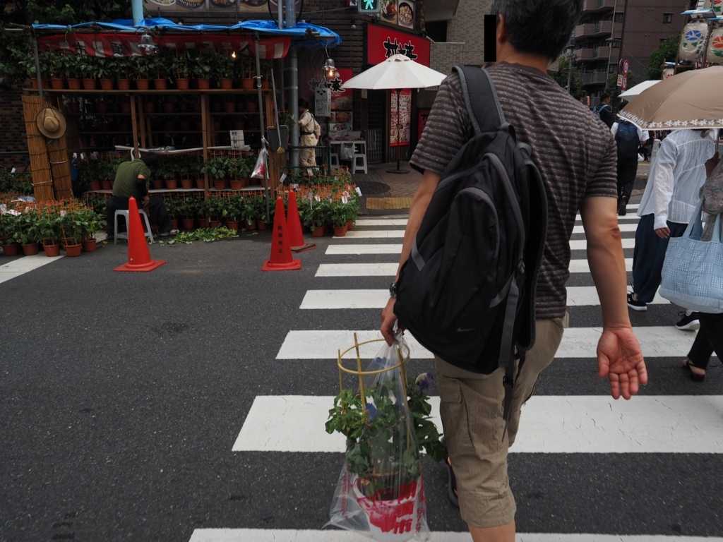 f:id:turumigawa915:20180708145415j:plain