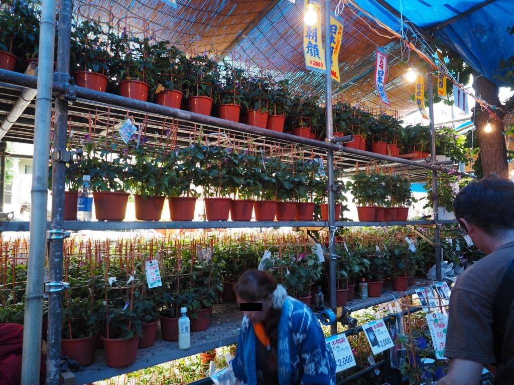 f:id:turumigawa915:20180708153054j:plain