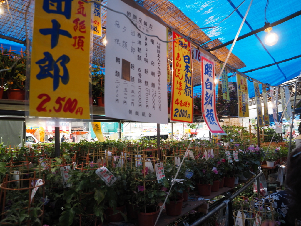 f:id:turumigawa915:20180708153207j:plain