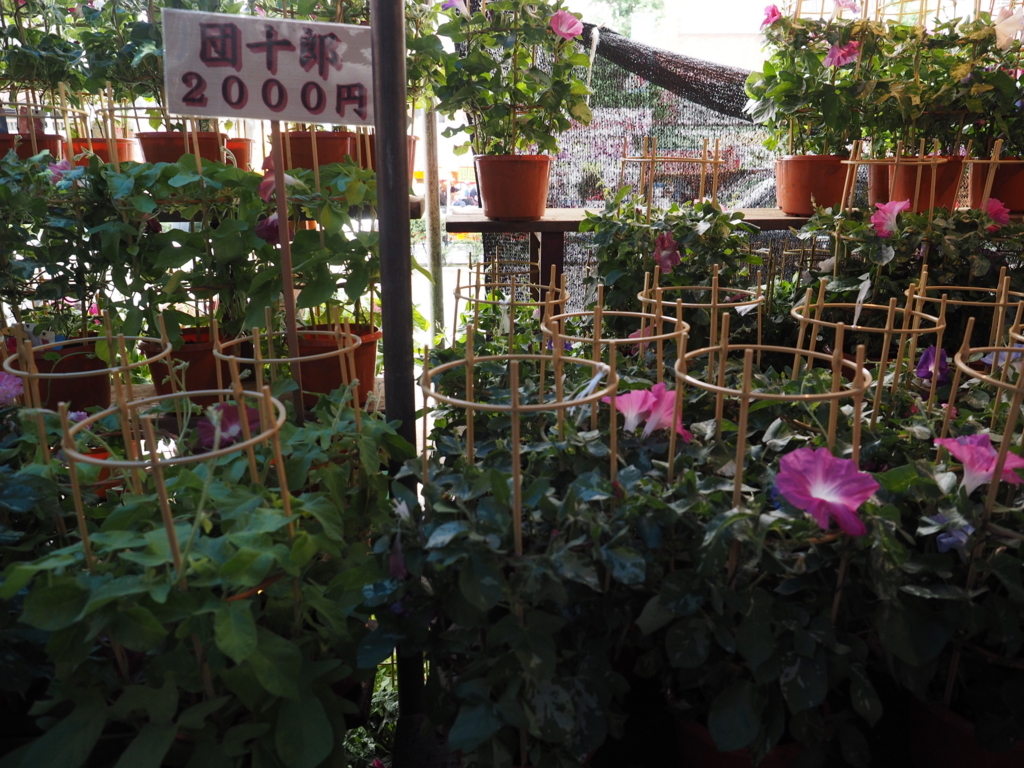 f:id:turumigawa915:20180708155119j:plain