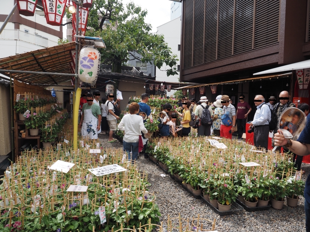 f:id:turumigawa915:20180708183021j:plain