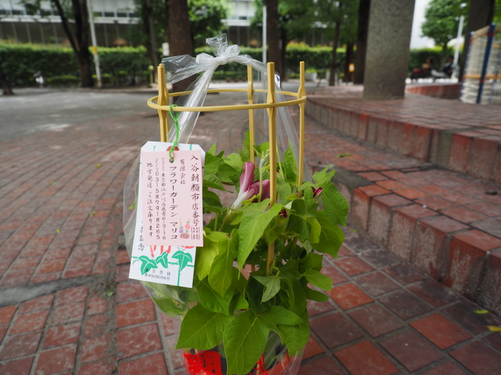 f:id:turumigawa915:20180708204109j:plain