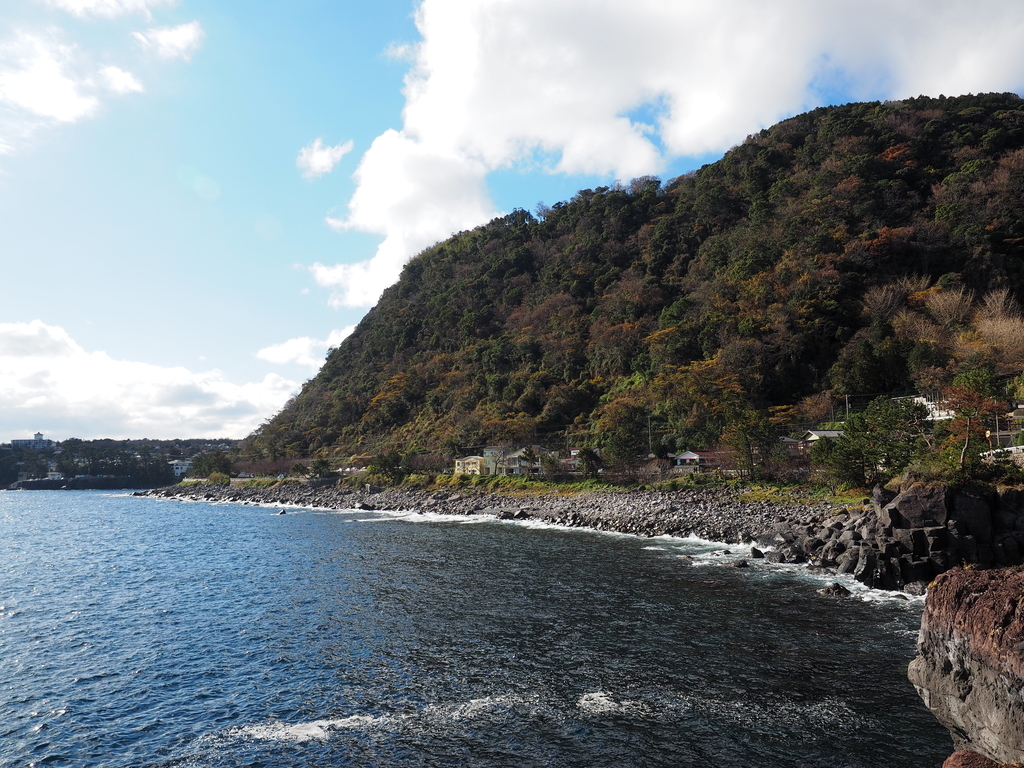 f:id:turumigawa915:20190101004858j:plain