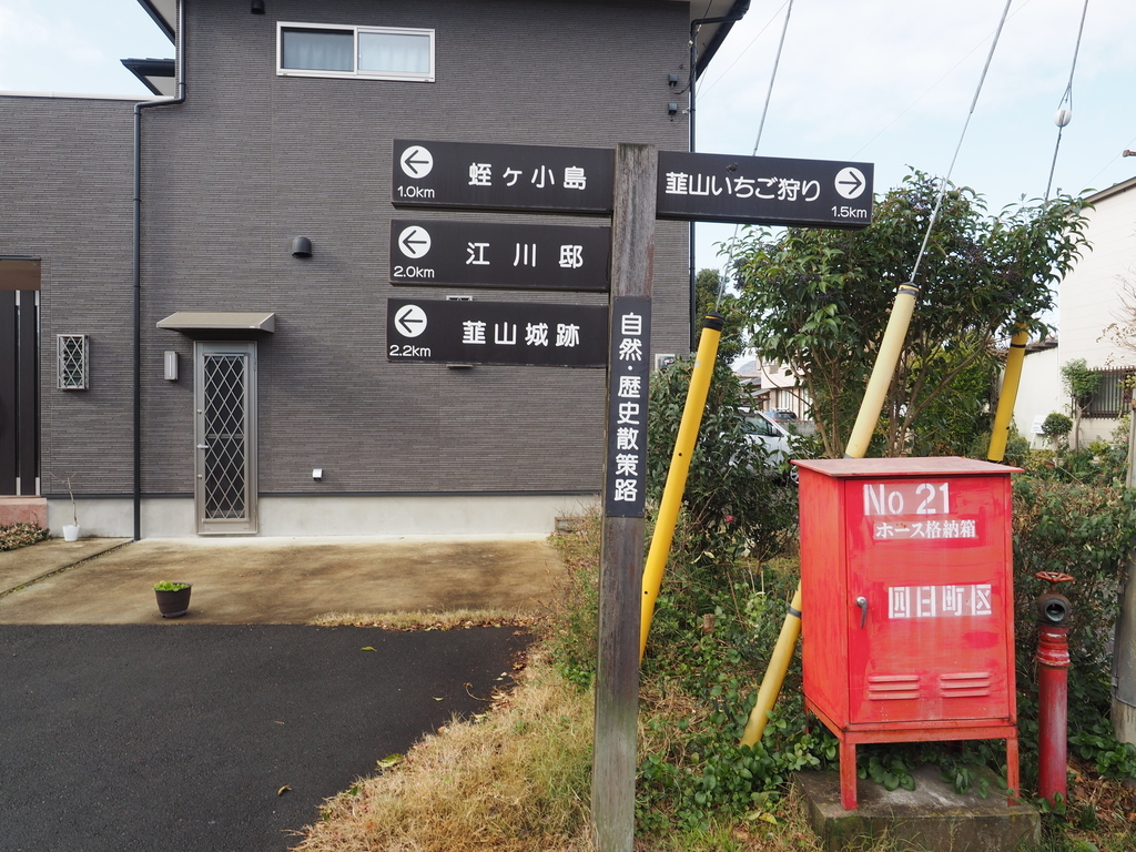 f:id:turumigawa915:20190120213745j:plain